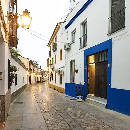 Casa 3 Plantas Con Patio Y Solarium Privados *