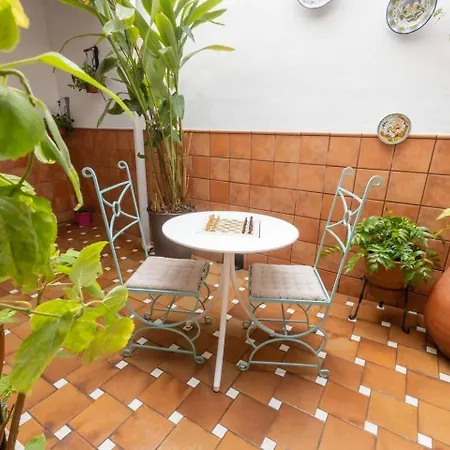 아파트 Casa 3 Plantas Con Patio Y Solarium Privados *