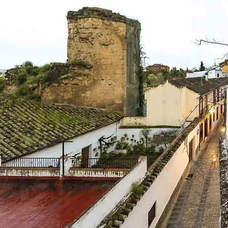 Casa 3 Plantas Con Patio Y Solarium Privados